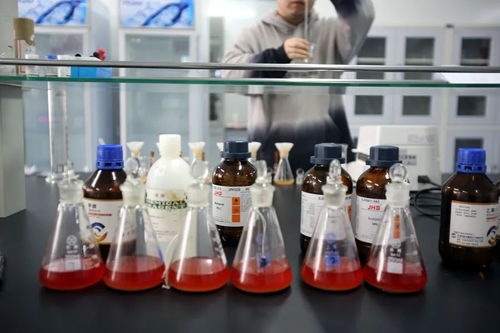 强制降解试验在药物杂质分析与生物试剂稳定性评估中的关键作用
