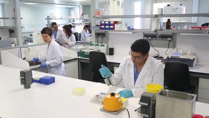 诺瓦生物寄生虫传播急性丝虫病抗体检测 SD生物试剂的前沿应用与解读